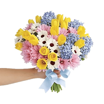 Blossom Harmony Display