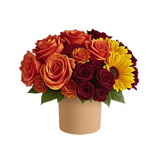 Radiant Rose Symphony