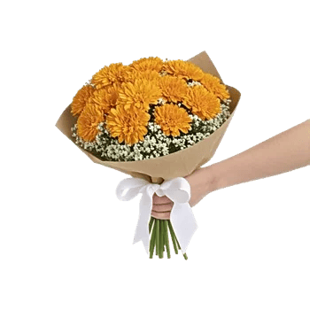 Golden Petal Harmony