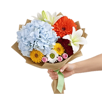 Serene Petal Harmony