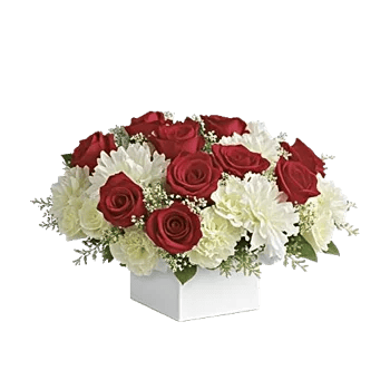 Crimson Rose Elegance