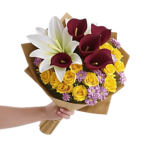 Elegant Calla Lilies