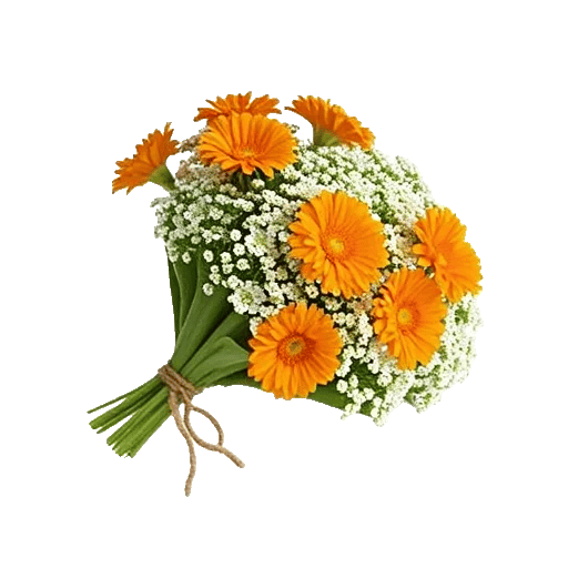 Petal Harmony Bliss