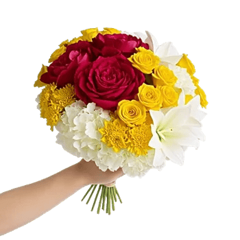 Peony Petal Harmony