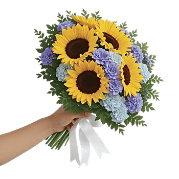Twinkling Sunflower Dance