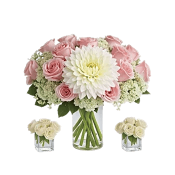 Ivory Blossom Radiance