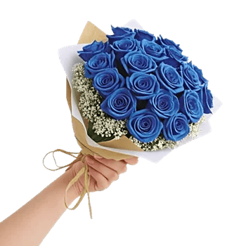 Elegant Blue Roses