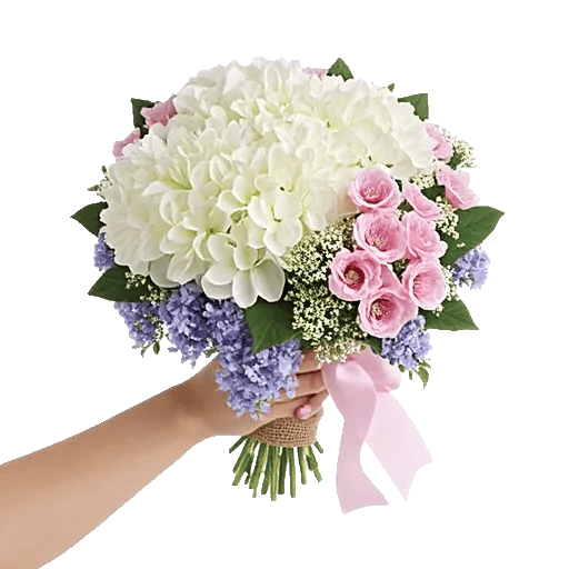 Serene Petal Harmony