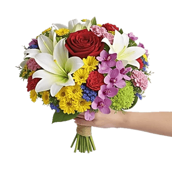 Crimson Rose Elegance