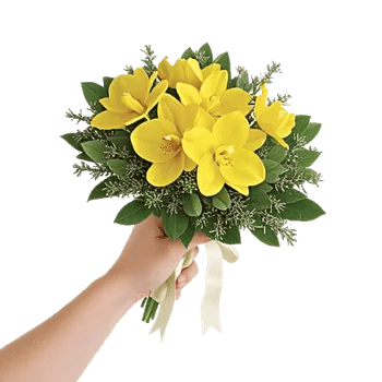 Minimalist White Orchids