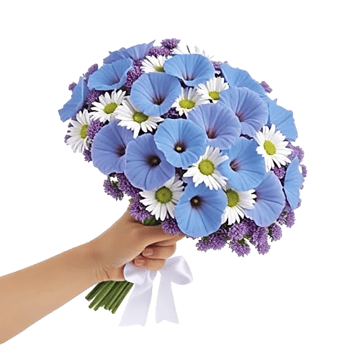 Morning Dew Blossoms