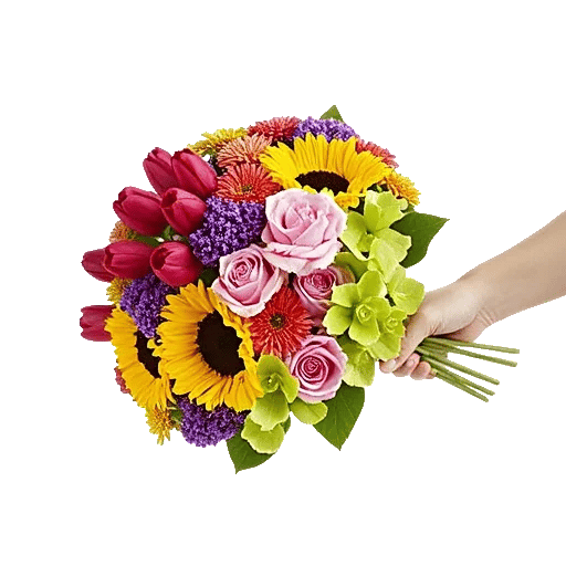 Blossom Harmony Display