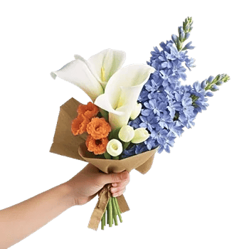 Elegant Calla Lilies