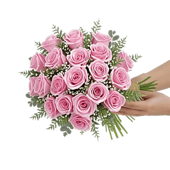 Pastel Pink Roses