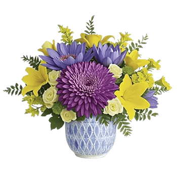 Petal Radiance Bliss