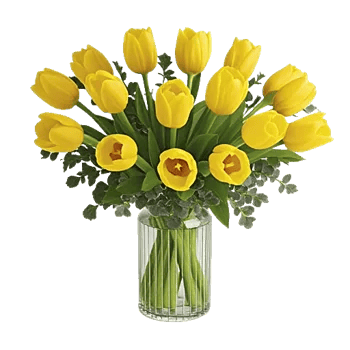 Velvet Tulip Display