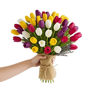 Velvet Tulip Display