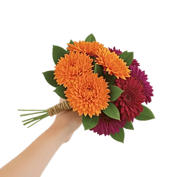 Petal Radiance Bliss