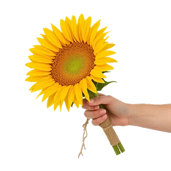 Golden Sunflower Bouquet