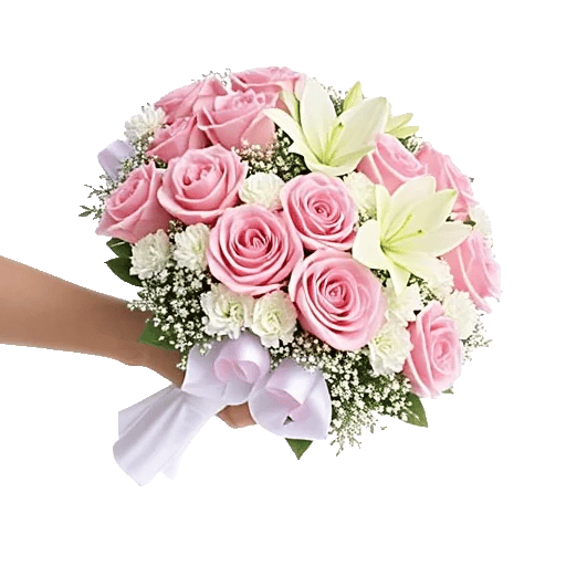 Pastel Pink Roses