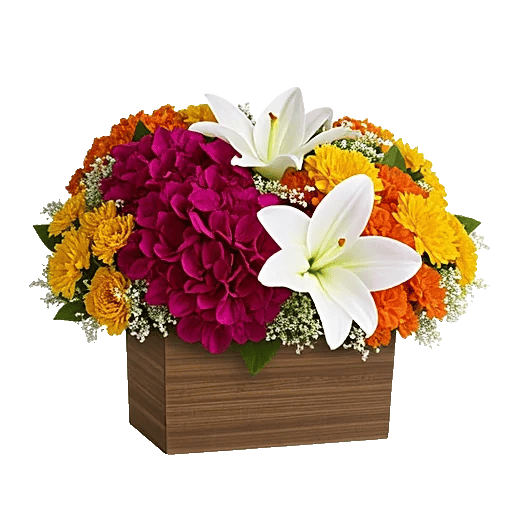 Petal Radiance Bliss