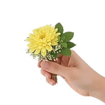 Blossom Harmony Display