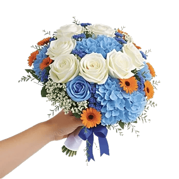 Serene Petal Harmony