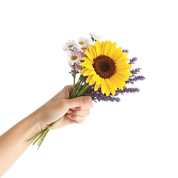 Twinkling Sunflower Dance