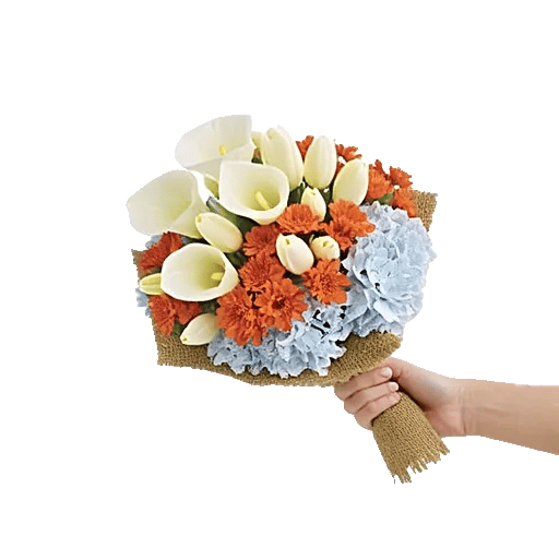 Elegant Calla Lilies