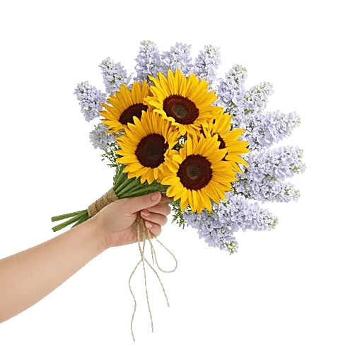 Twinkling Sunflower Dance