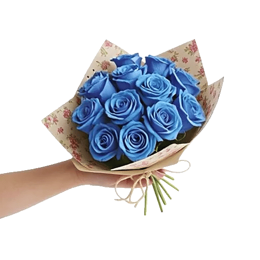 Blushing Rose Symphony