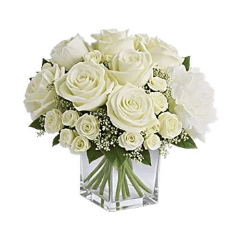 Delicate Petal Cascade