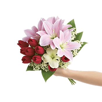 Blossom Harmony Display