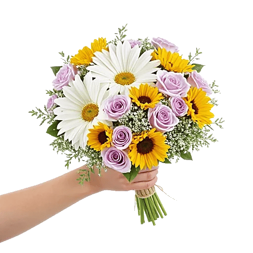 Blossom Harmony Display