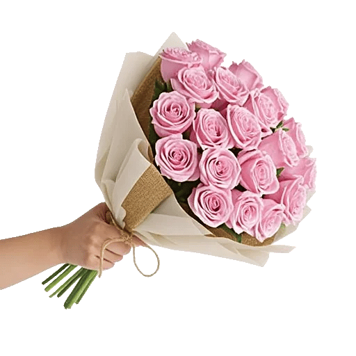 Crimson Rose Elegance
