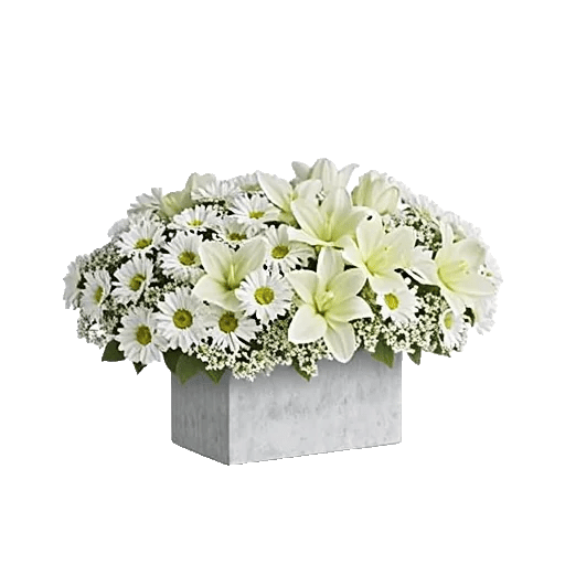 Delicate Petal Cascade