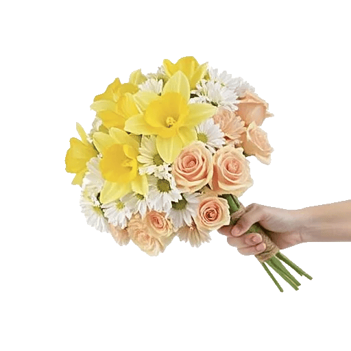 Soft Sunlight Blooms