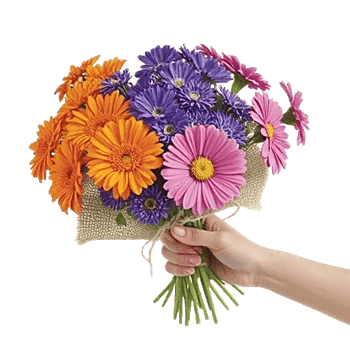 Petal Radiance Bliss