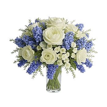 Delicate Petal Cascade