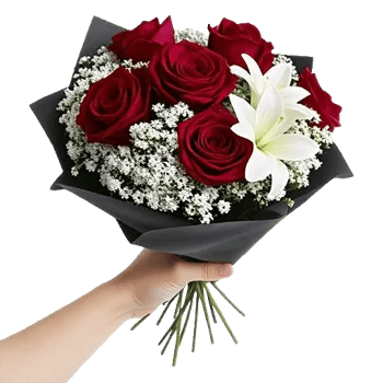 Crimson Rose Elegance