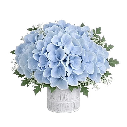 Sapphire Bloom Whisper