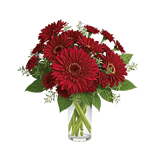 Crimson Blossom Harmony