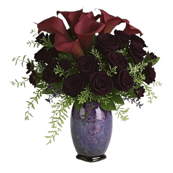 Gothic Dark Roses