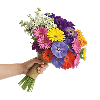 Blossom Harmony Display