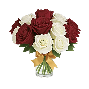 Crimson Rose Elegance