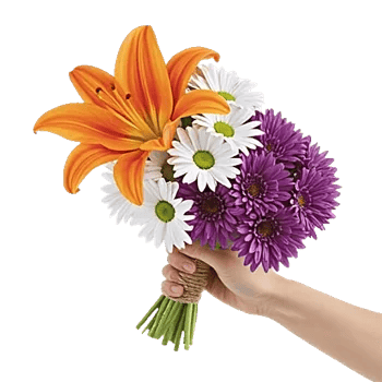 Blossom Glow Symphony