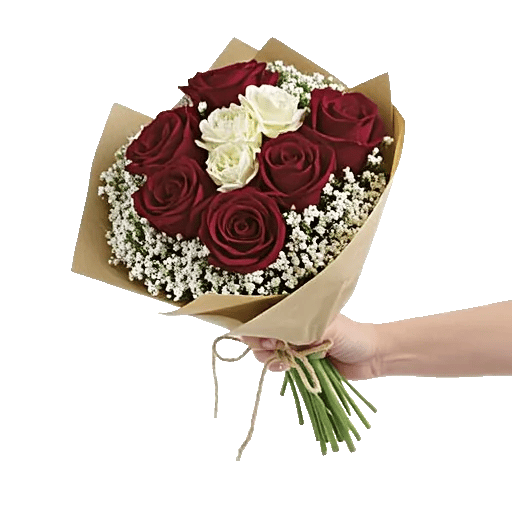 Crimson Rose Elegance