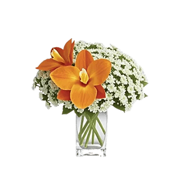 Orchid Bloom Cascade