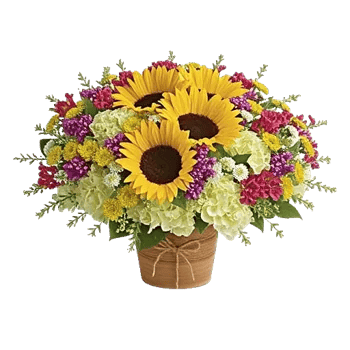 Amber Sunflower Glow