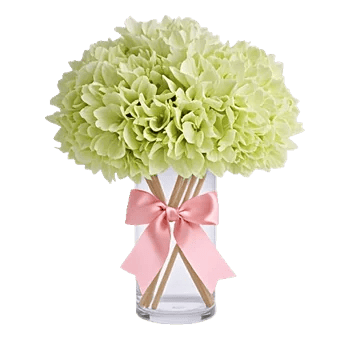 Ivory Blossom Radiance